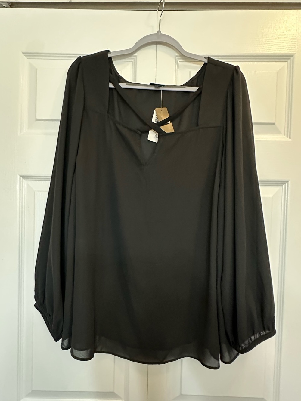 Sheer Torrid Blouse